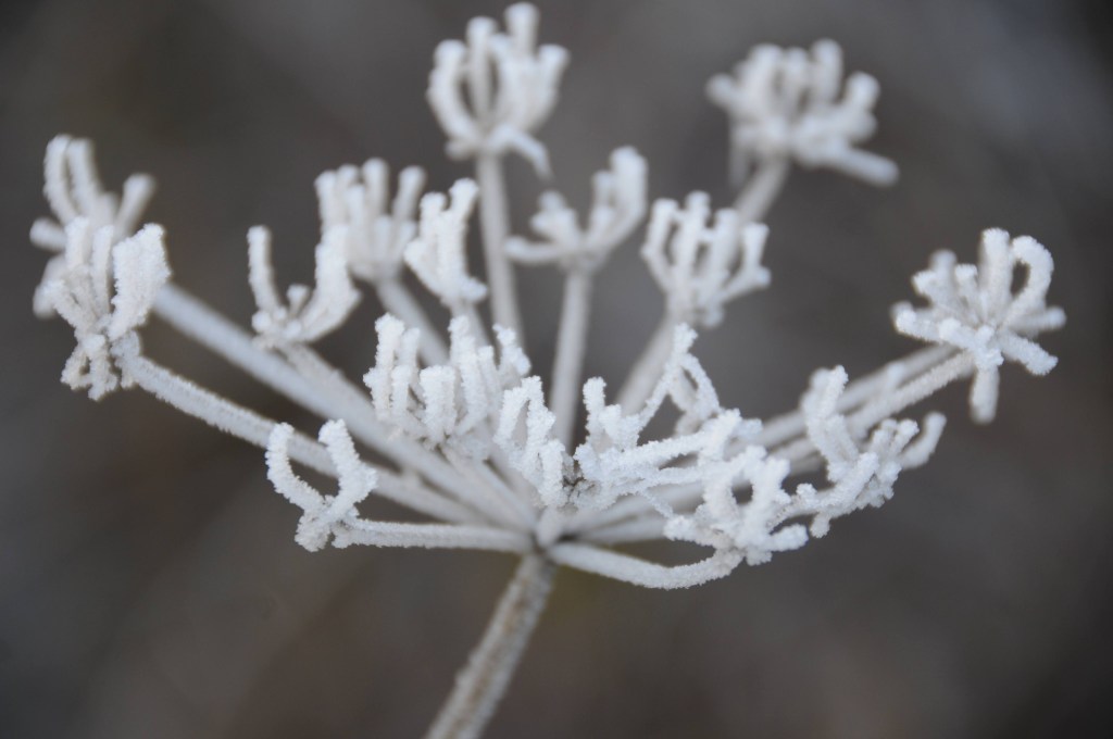 Der November in&nbsp;Bildern