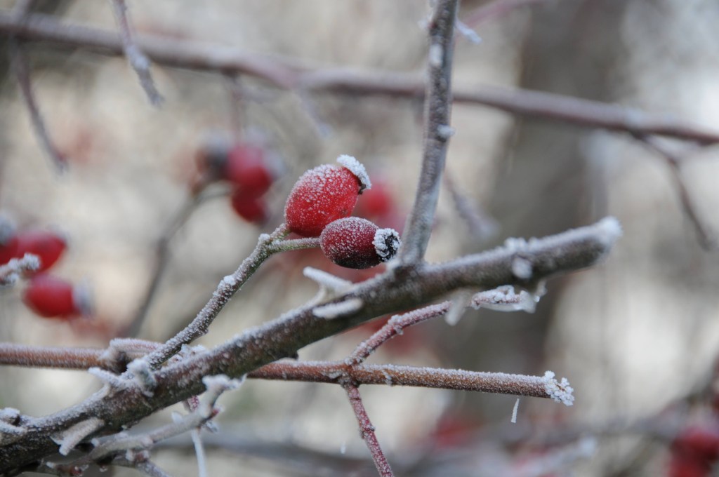 Yuki-onna, die Schneefrau