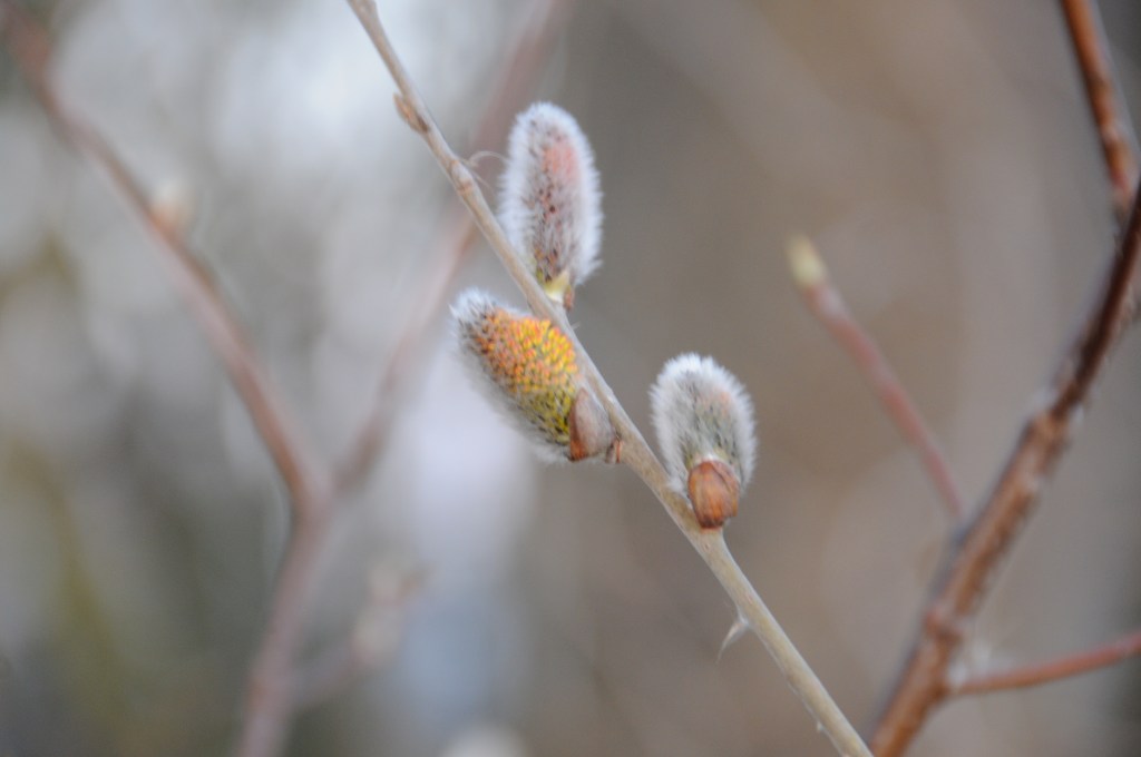 Der März in&nbsp;Bildern