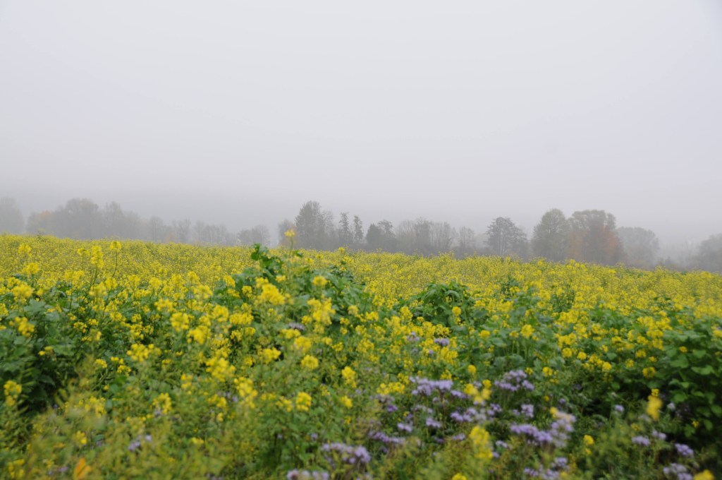 Drei Gruselgeschichten für lange&nbsp;Sommerabende