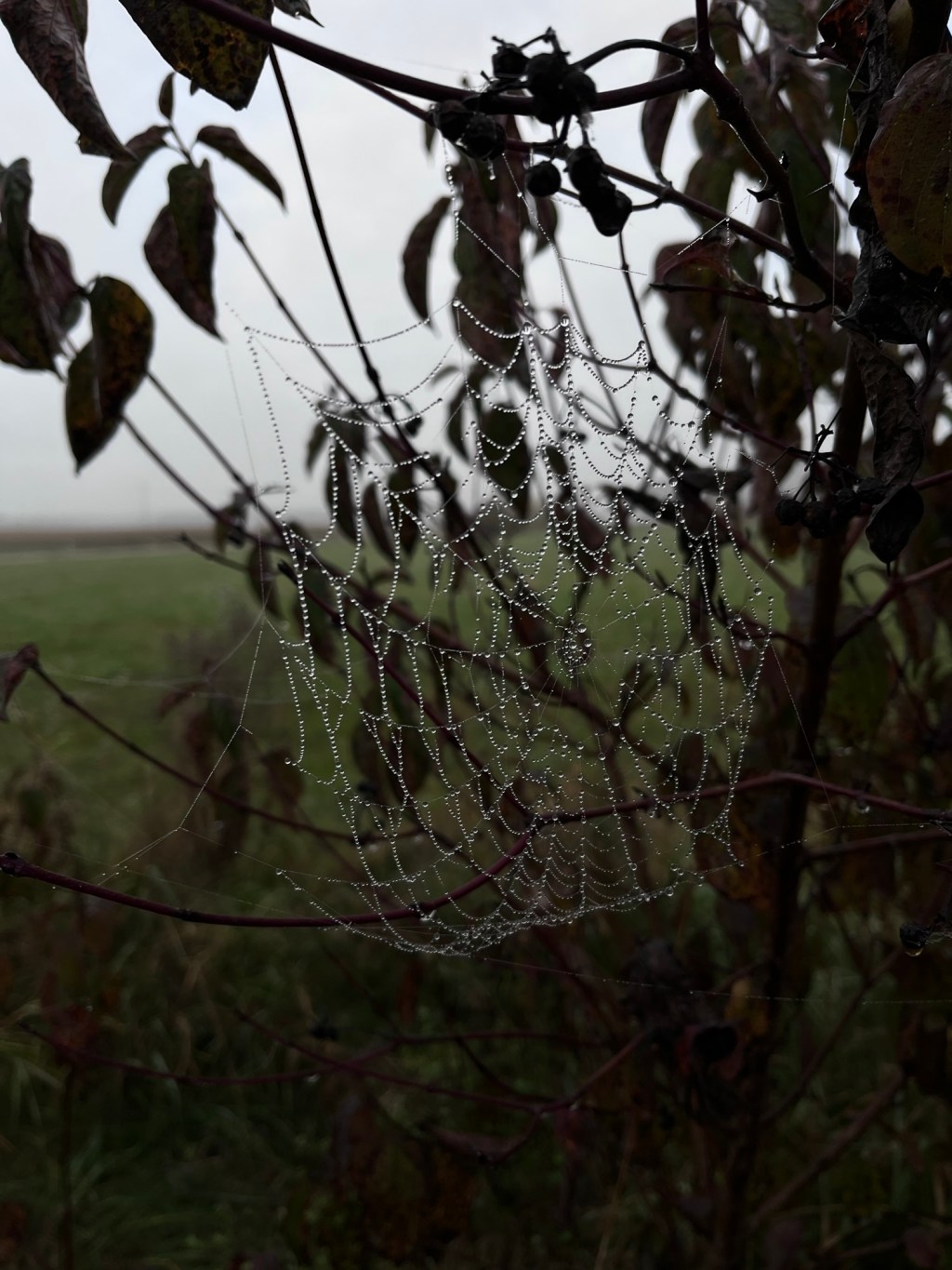 Drei Gruselgeschichten to&nbsp;Go