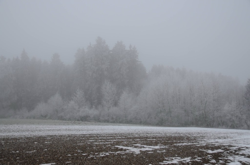 Der Februar – mit&nbsp;Bildern