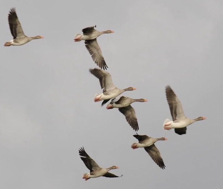 Time to say goodbye – über das Abschiednehmen & ein außergewöhnliches Kunstprojekt
