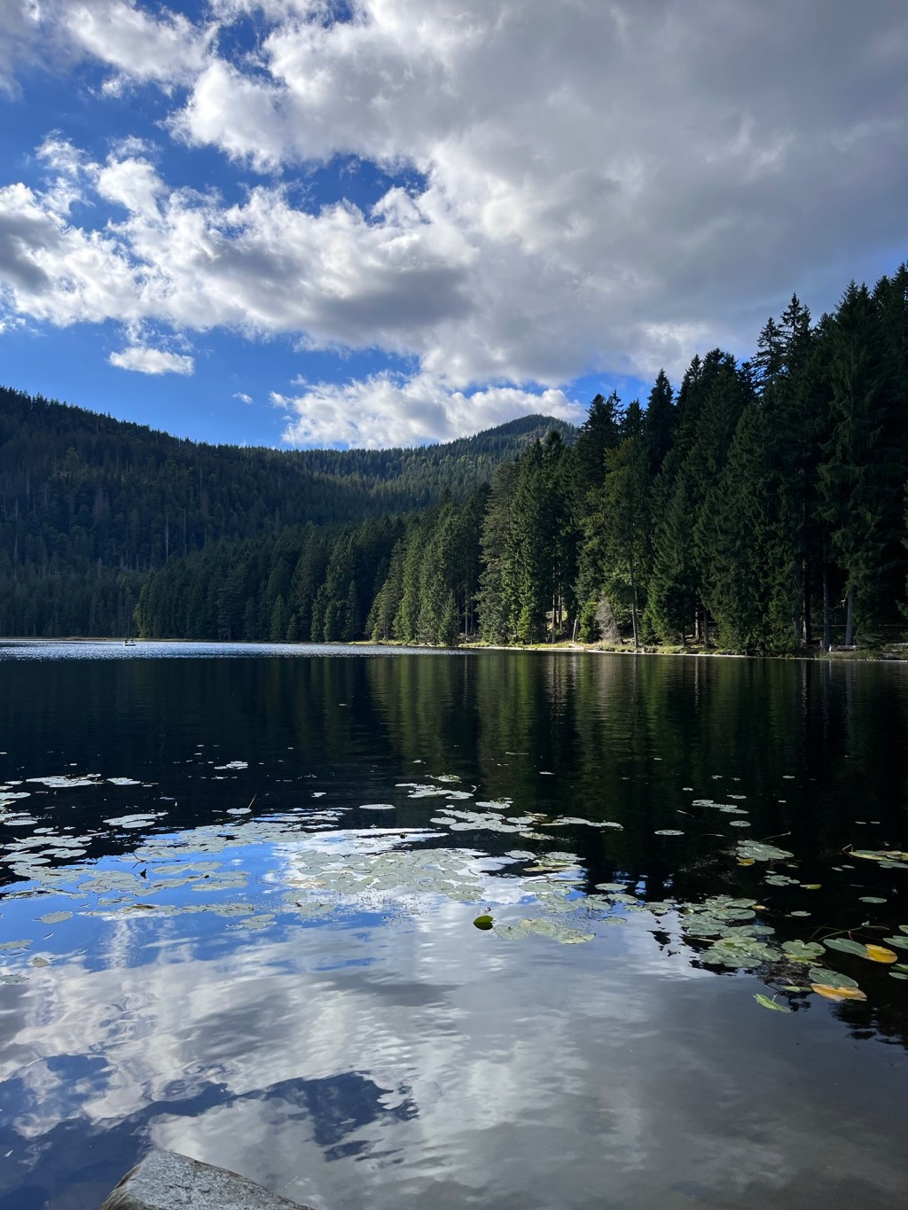 Die Sommerferien. Mit&nbsp;Bildern.