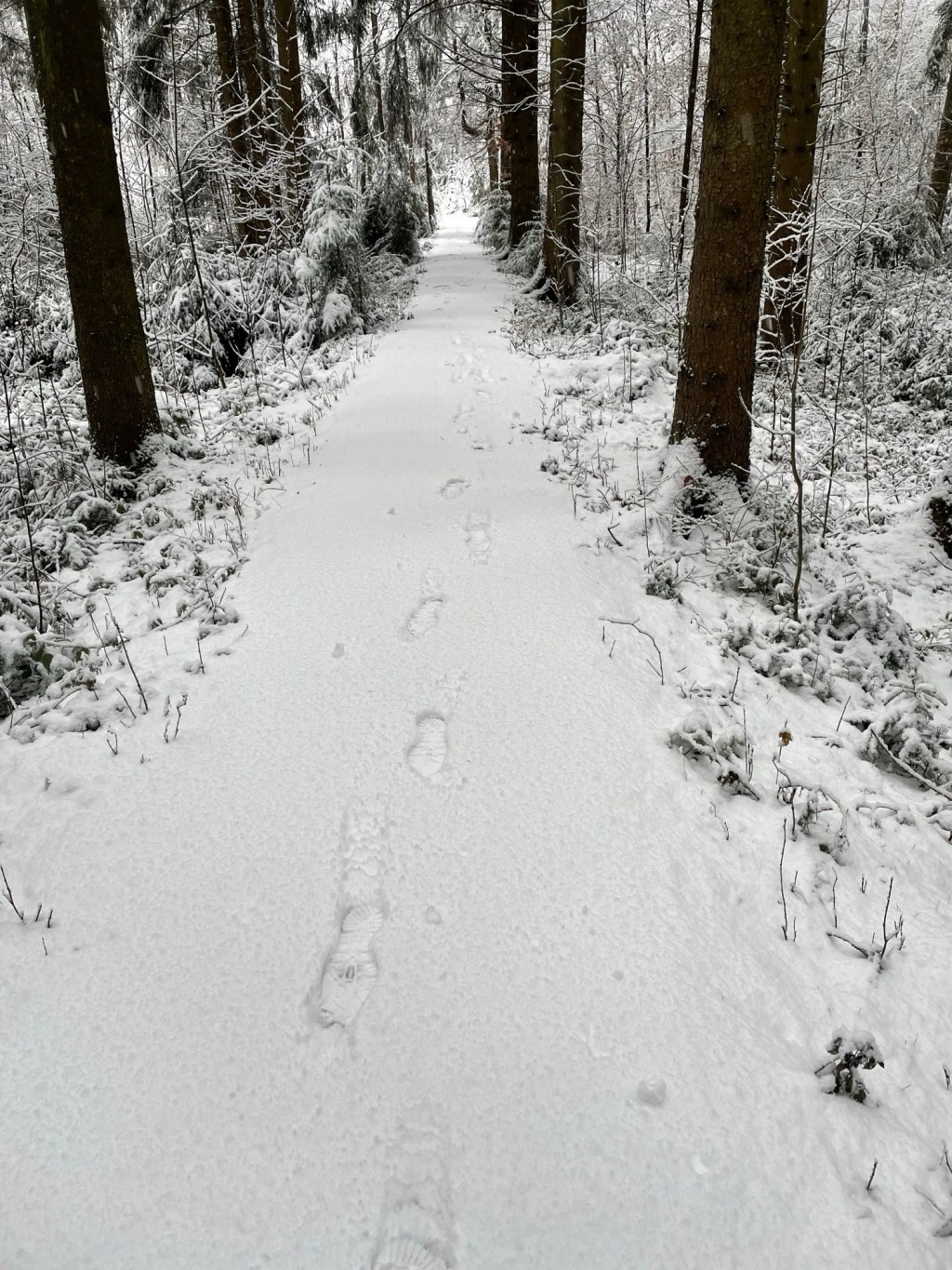 Groß und Klein – die Blog-Kolumne&nbsp;