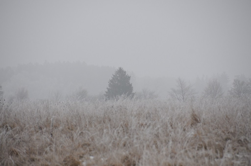 Der Januar. Mit&nbsp;Bildern.
